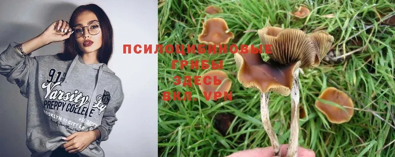 Галлюциногенные грибы Magic Shrooms Арск